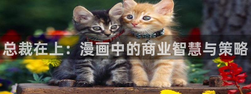 歪歪漫画免费漫画韩漫
