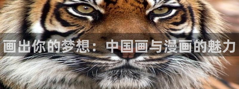 歪歪漫画在线平台