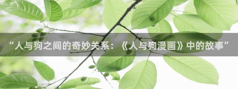 歪歪漫画免费网站观看