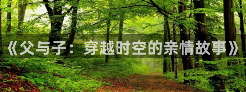 歪歪漫画平台网站：《父与子：穿越时空的亲情故事》