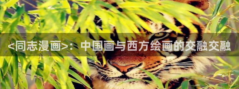 歪歪漫画sss在线入口