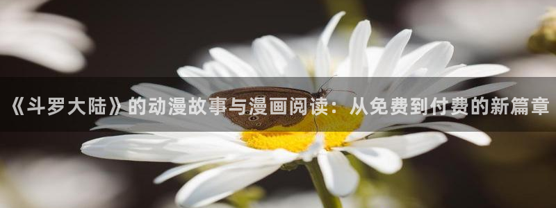 歪歪漫画免费观看破解版：《斗罗大陆》的动漫故事与漫画阅读：从免费到付费的新篇章