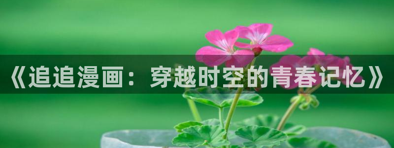 歪歪漫画ss：《追追漫画：穿越时空的青春记忆》
