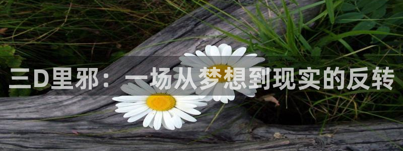 歪歪漫画网站在线：三D里邪：一场从梦想到现实的反转