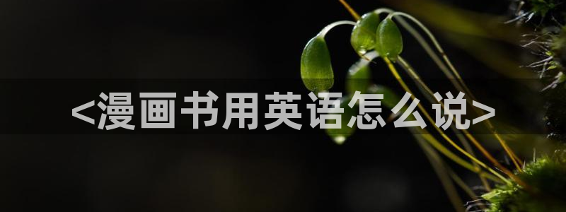歪歪漫画成年人：<漫画书用英语怎么说>