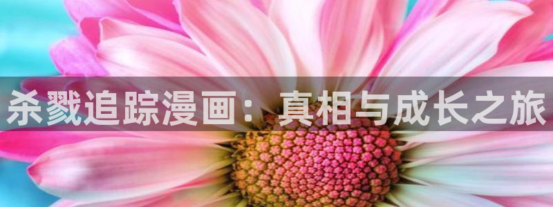 韩国歪歪漫画破解版