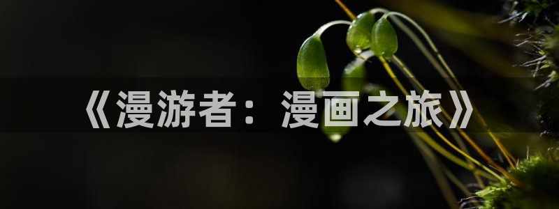 歪歪漫画小说在线阅读