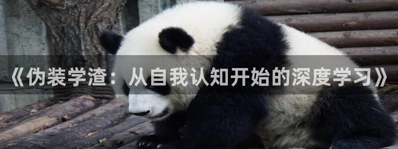歪歪漫画sss网站